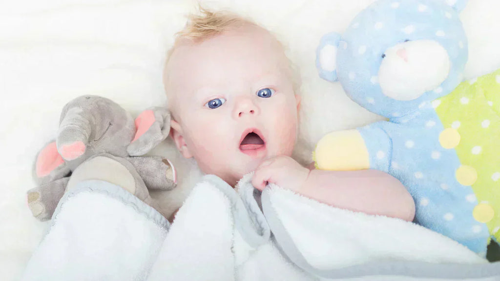 besten Kuscheltiere für Babys