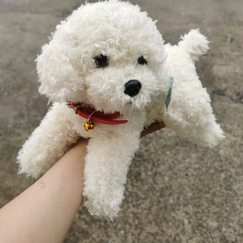 Bichon Frisé Kuscheltier