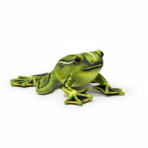 Frosch Kuscheltier Realistisch Grün