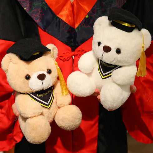 Graduierte Bär Kuscheltier