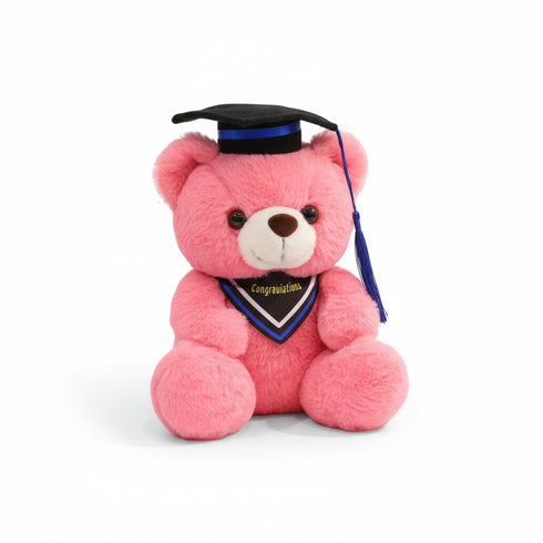 Graduierte Bär Kuscheltier Rot