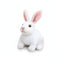 Hase Kuscheltier Realistisch Weiß