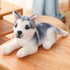 Husky Kuscheltier