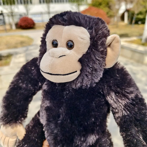 Jungle Affe Kuschelfreund