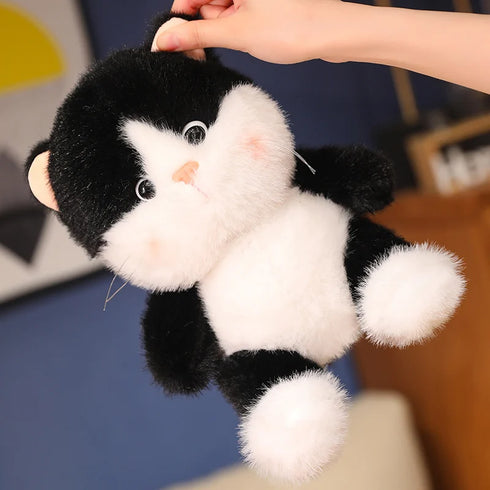 Katze Kuscheltier Flauschbacke