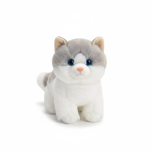 Katze Kuscheltier Neugierig Grau