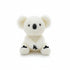 koala kuscheltier australien weiss