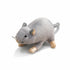 Maus Kuscheltier Klein Grau