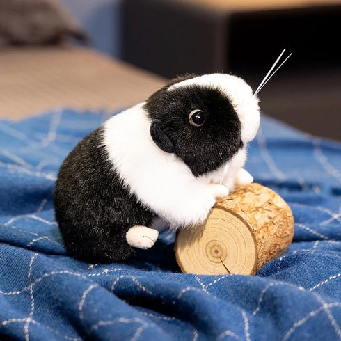 Meerschweinchen Kuscheltier Klein