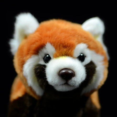 Naturgetreues Roter Panda Kuscheltier