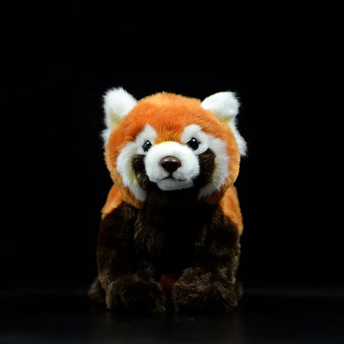 Naturgetreues Roter Panda Kuscheltier