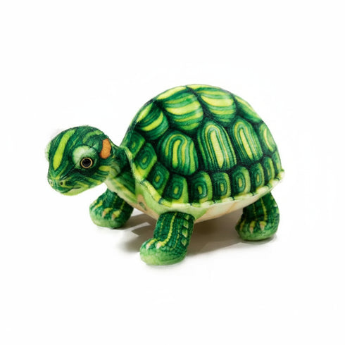 Naturgetreues Schildkröte Kuscheltier Grün
