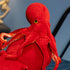 Oktopus Kuscheltier Rot