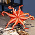 Oktopus Kuscheltier Rot