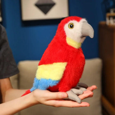 Papagei Kuscheltier Klein